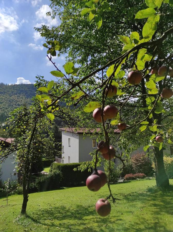 Apartamenty Kotarz Brenna Zewnętrze zdjęcie