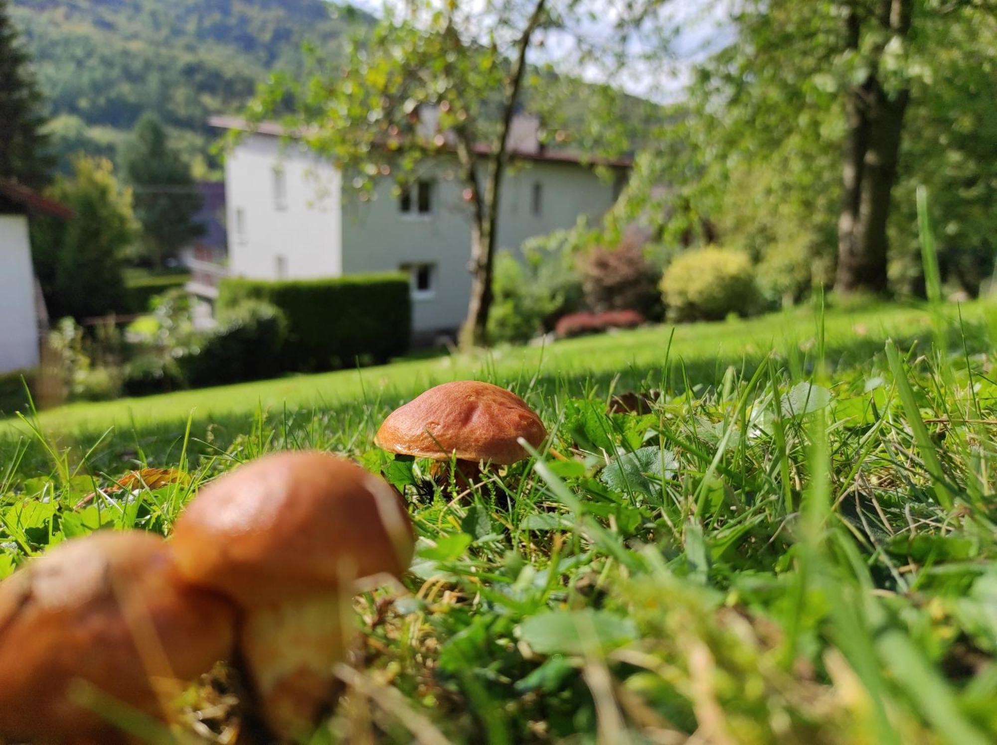 Apartamenty Kotarz Brenna Zewnętrze zdjęcie